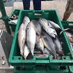 Дом отдыха Harbour House *