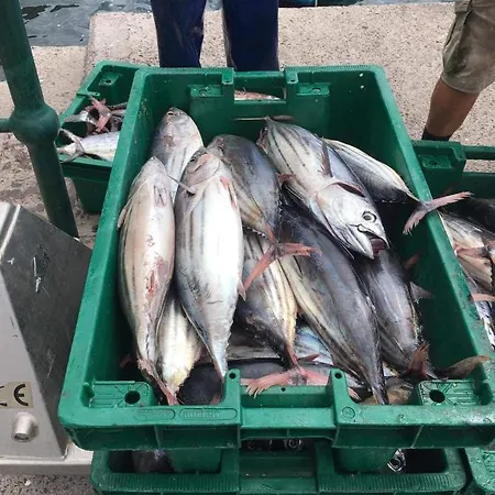 펜션 Harbour House *