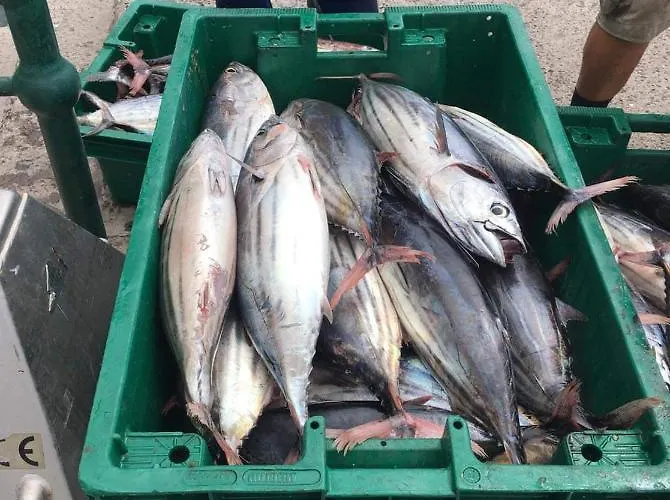 Casa vacanze Harbour House *