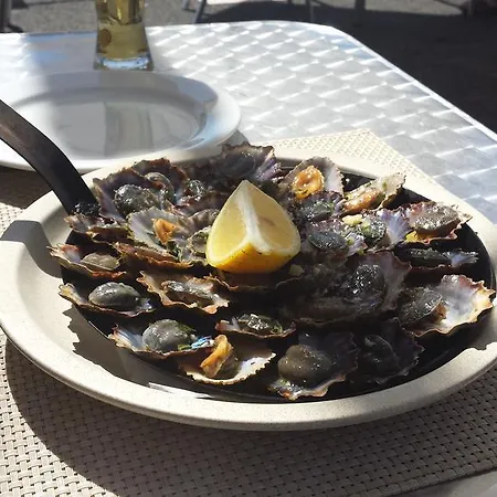 Harbour House Tatil Evi